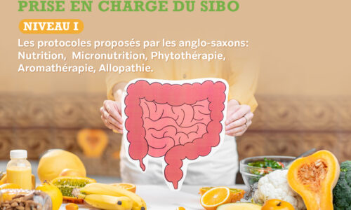 Prise en charge intégrative du SIBO / SIFO / IMO / LIBO