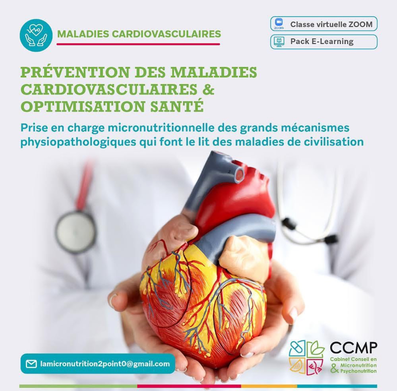 Prévention des maladies de civilisation, ZOOM sur les maladies cardiovasculaires